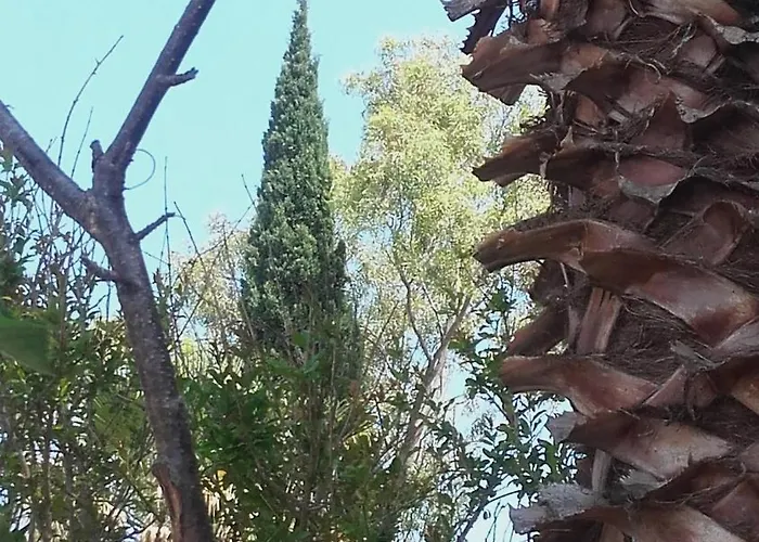 With Garden Апартаменты