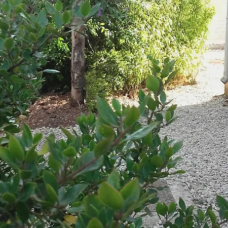 With Garden Agde