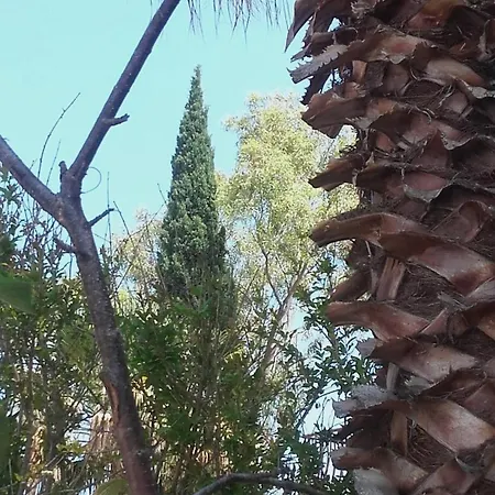 With Garden Apartamento